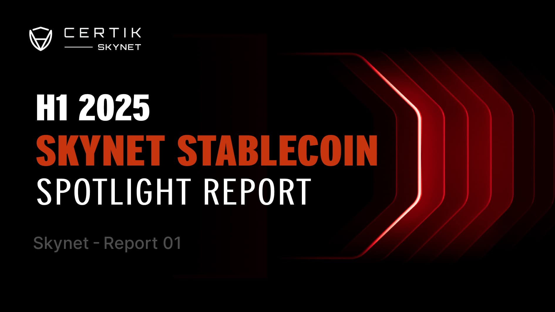 Skynet Stablecoin Spotlight Report: H1 2025