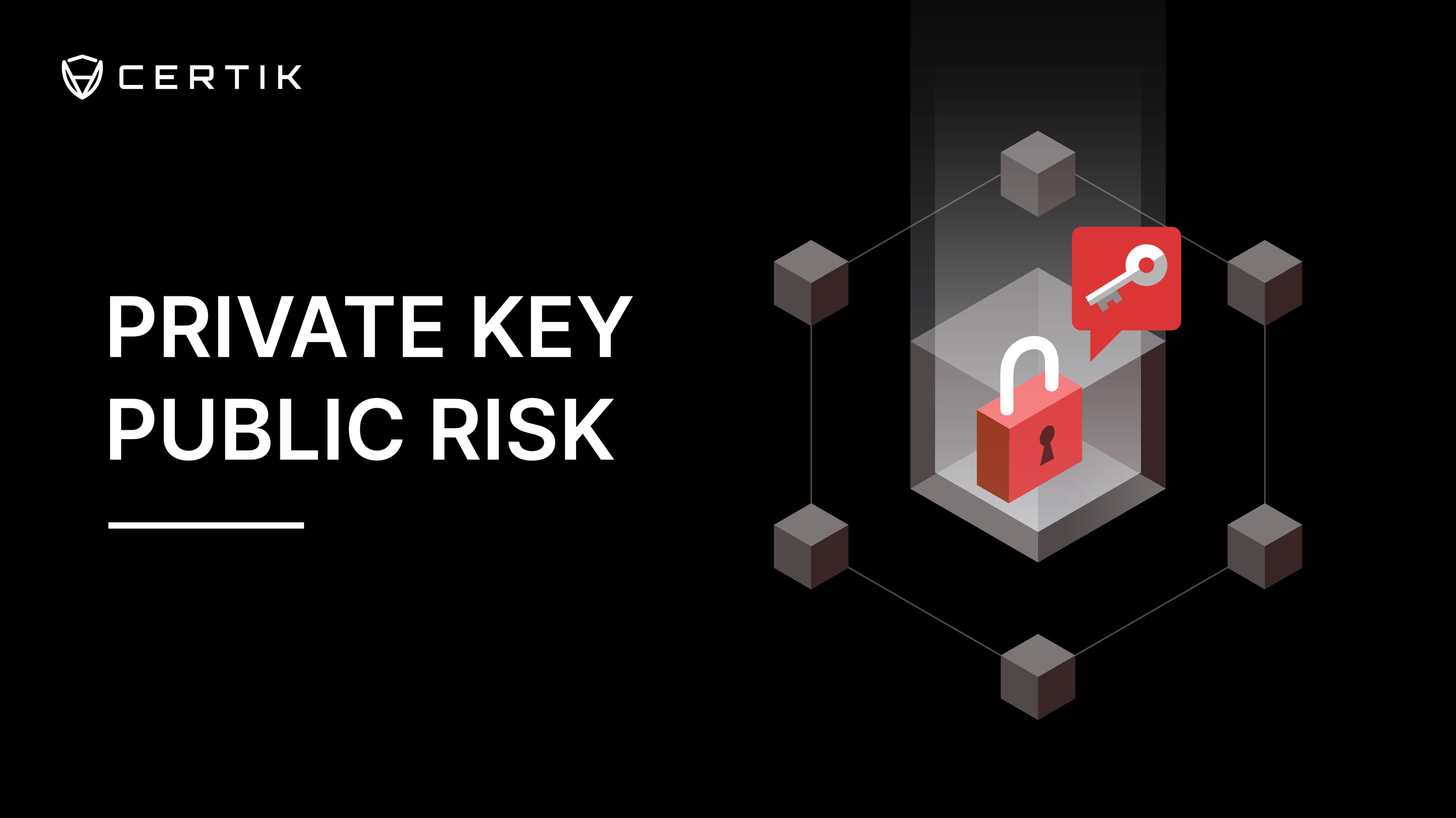 Private Key, Public Risk
